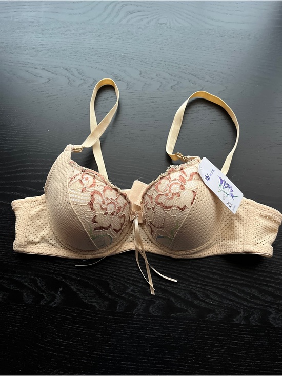 Other - Chic Chunya Beige Lace Mesh Underwire Bra 36/B80